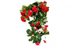 006 veštačke lozice